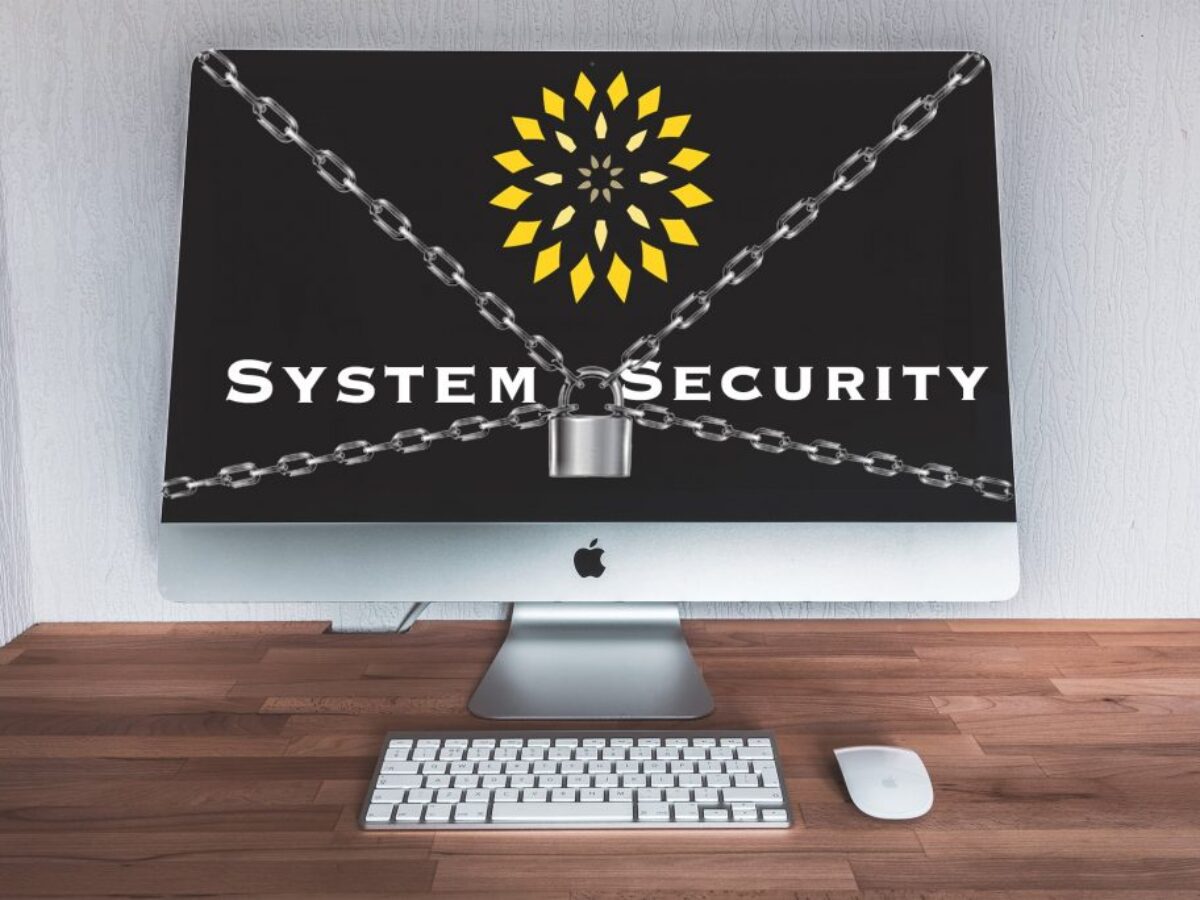 PICAS System Security