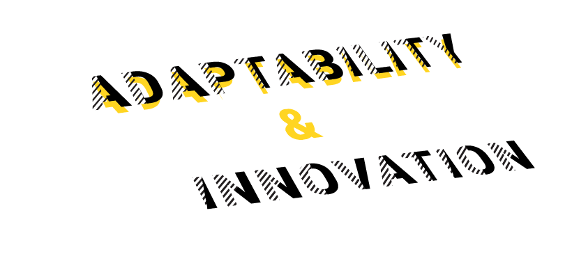 Adaptability & Innovation